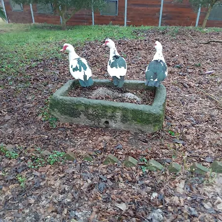 Di Nonna Piera Panzió *
